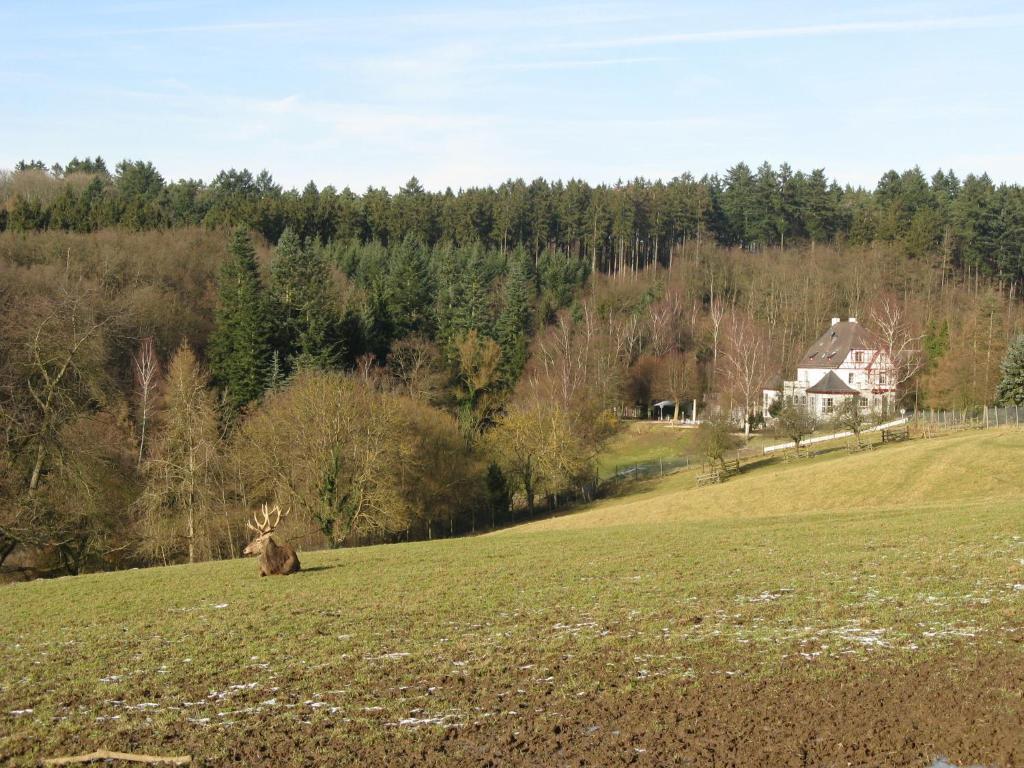 Waldhotel Forsthaus Remstecken كوبلنس المظهر الخارجي الصورة